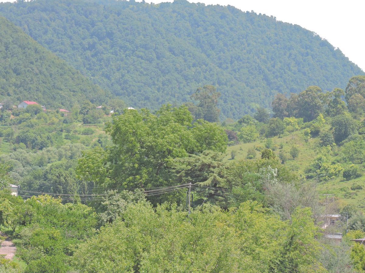 Guesthouse U Moti New Athos Zewnętrze zdjęcie