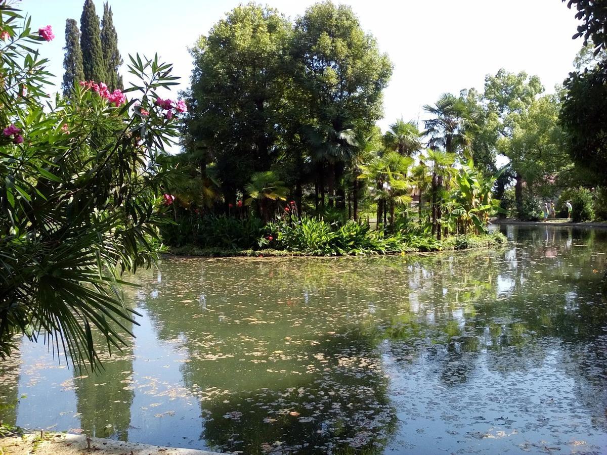 Guesthouse U Moti New Athos Zewnętrze zdjęcie